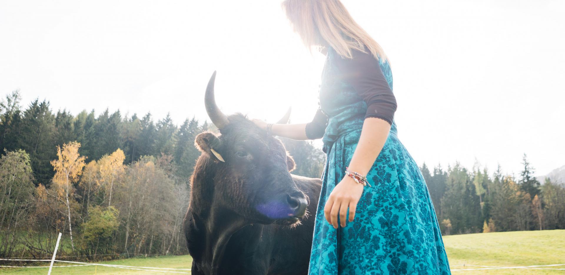 Der Kirchheimerhof Der Kirchheimerhof