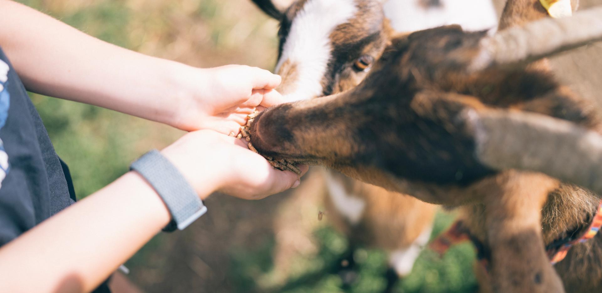 Der Kirchheimerhof Der Kirchheimerhof