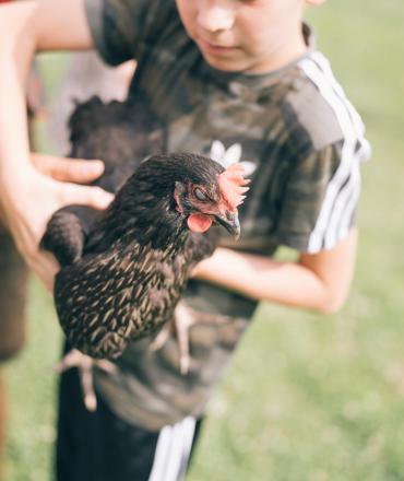 Der Kirchheimerhof Der Kirchheimerhof