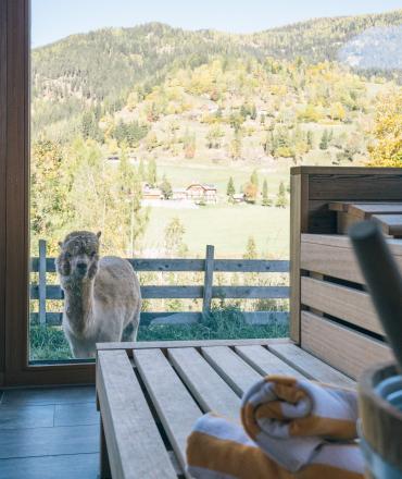 Der Kirchheimerhof Der Kirchheimerhof