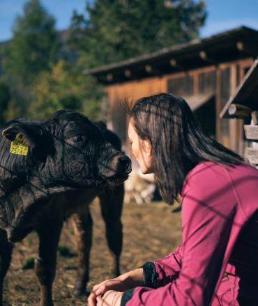 Der Kirchheimerhof Der Kirchheimerhof