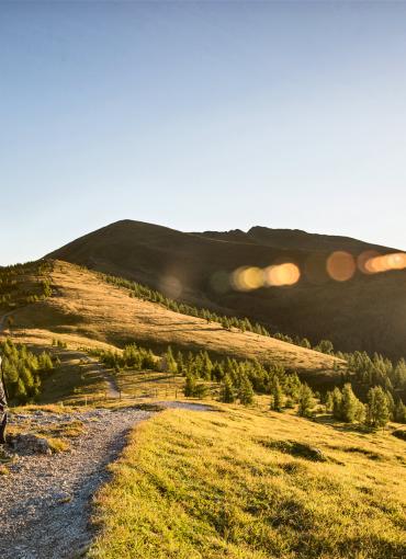 Der Kirchheimerhof Der Kirchheimerhof