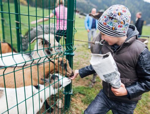 Der Kirchheimerhof Der Kirchheimerhof