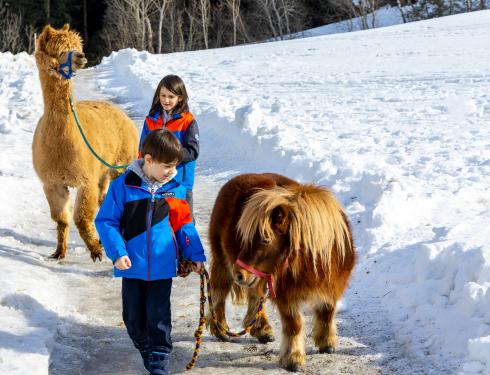 Kirchheimer Hof_1276 Kirchheimer Hof_1276