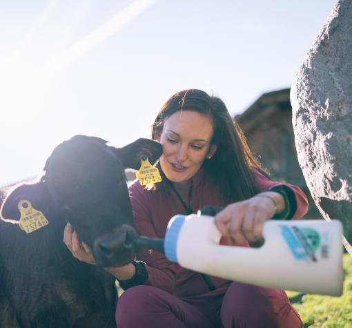 Der Kirchheimerhof Der Kirchheimerhof