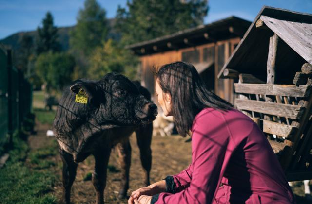 Der Kirchheimerhof Der Kirchheimerhof