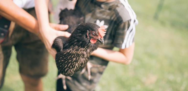 Der Kirchheimerhof Der Kirchheimerhof