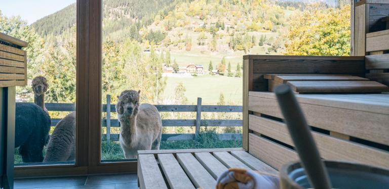 Der Kirchheimerhof Der Kirchheimerhof