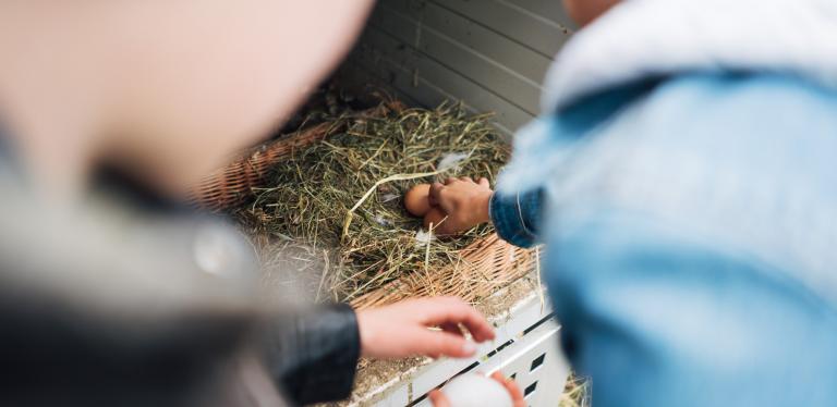 Der Kirchheimerhof Der Kirchheimerhof