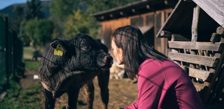 Der Kirchheimerhof Der Kirchheimerhof